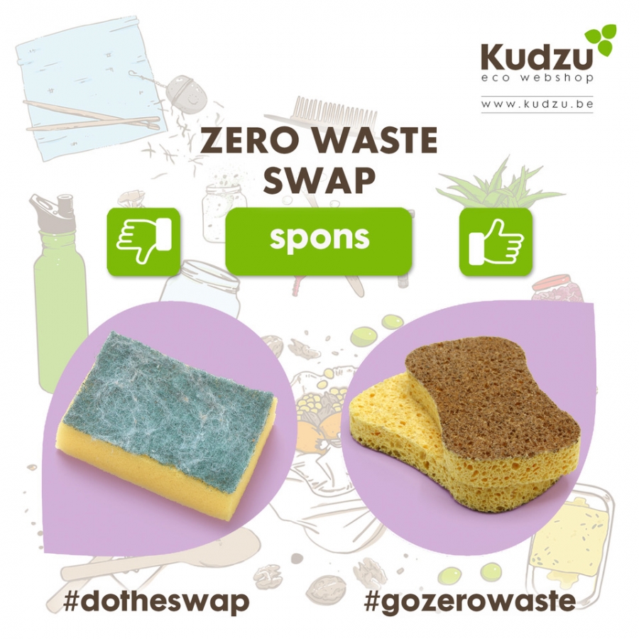 Do the Swap -> Go Zero Waste!
